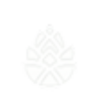 NW RV & boat logo icon